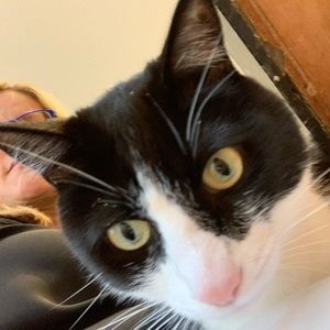 Meet your Posher, Lisa